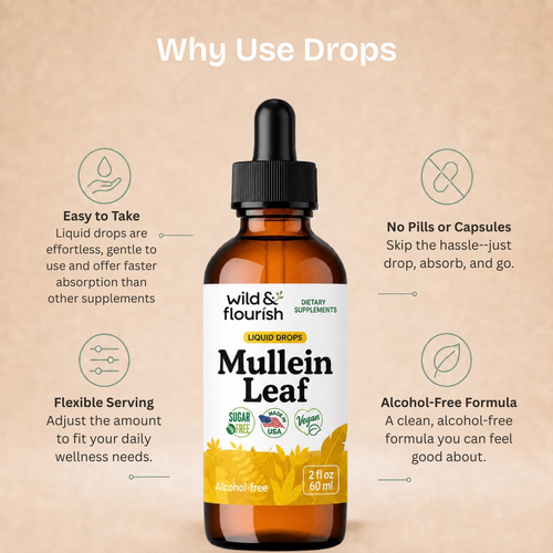 Mullein Leaf Extract