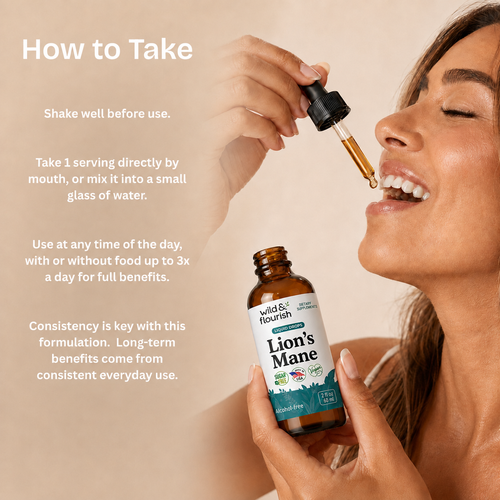 Lion's Mane Extract