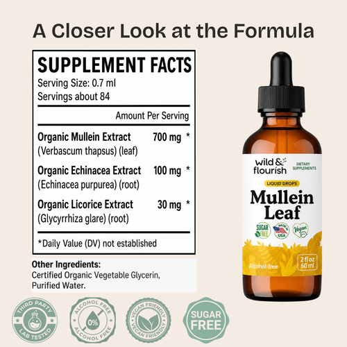 Mullein Leaf Extract