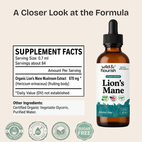 Lion's Mane Extract